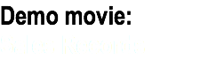 Demo movie: Sales Records